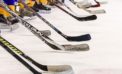 West Central Wheat Kings minor hockey report West Central Wheat Kings minor hockey report