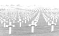 ‘Countless white crosses’ a century later ‘Countless white crosses’ a century later