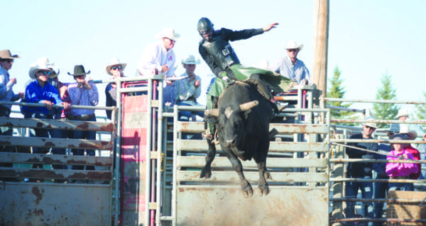 Stampede champs do well at 20th Bull-a-rama
