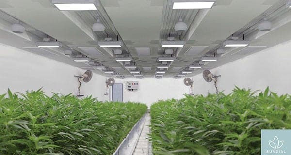 Sundial Growers, feds supporting cannabis research