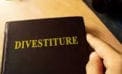 Nearly half of Canadian companies looking to divest within the next year Nearly half of Canadian companies looking to divest within the next year