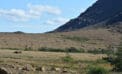 Gros Morne Tablelands nature outdoors Canadian north Sailing ever northward in search of wildlife, culture and history