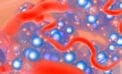 Diabetes cell Safer source of islet cells targeted for people with Type 1 diabetes
