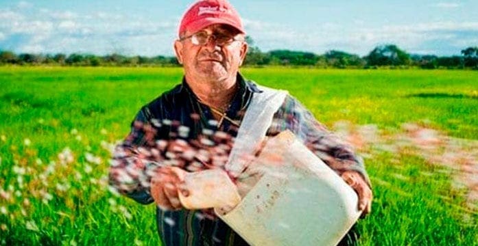 farmer, agriculture Food sector gets budget help but there are gaps