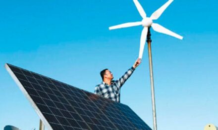 Renewable energy all pain, little gain