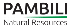 Pambili Natural Resources: Bringing Golden Valley’s Production Plant Back Online