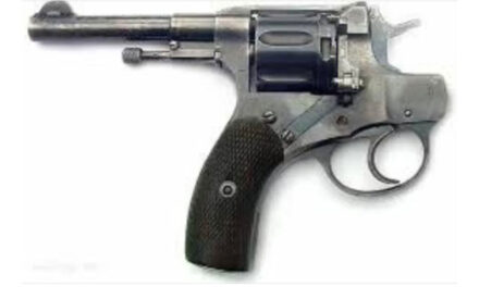 Ottawa’s gun confiscation failed its first real test