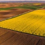 Why Carney changed course on China